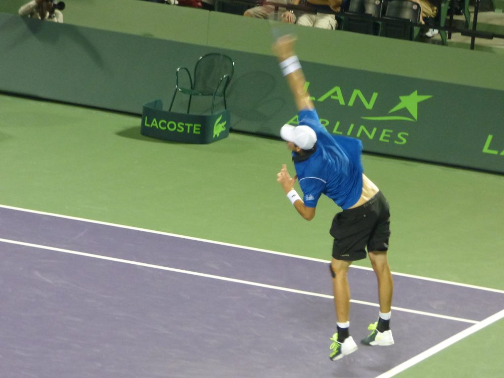 Isner's serve fended off the Dimitrov challenge (photo credit: Esam Taha) 