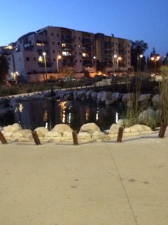 Israel Jean-Yves Aubone #2